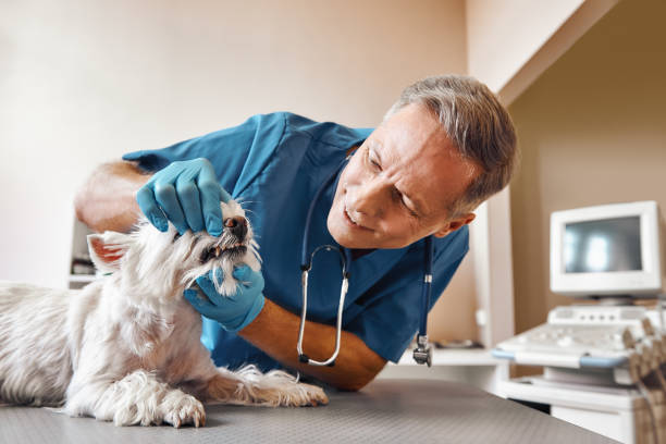 Best Emergency Tooth Extraction in Zebulon, NC