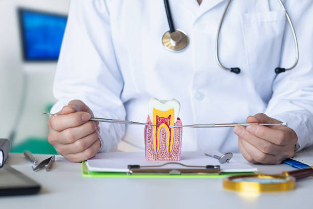 Best Walk-In Emergency Dentist in Zebulon, NC